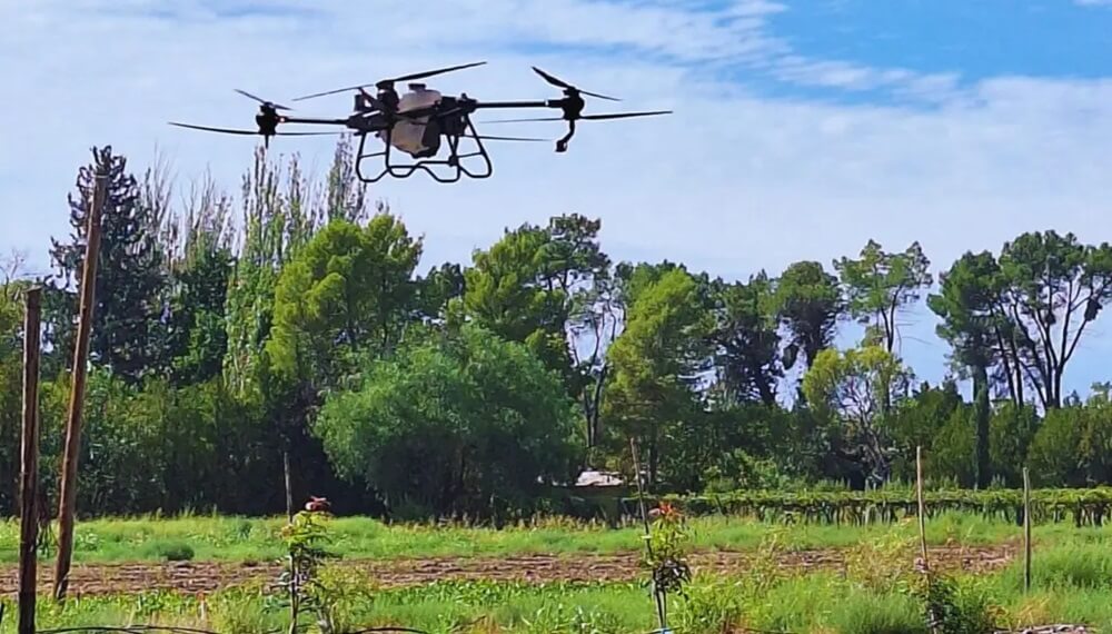 Malezas: de las rejas a los drones, las ventajas de diferentes estrategias de control