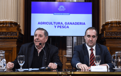 Alfredo De Angeli presidirá la Comisión de Agricultura del Senado