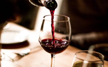 Radiografía de Malbec, la uva estrella de Argentina: ya ocupa una de cada cuatro hectáreas de vid
