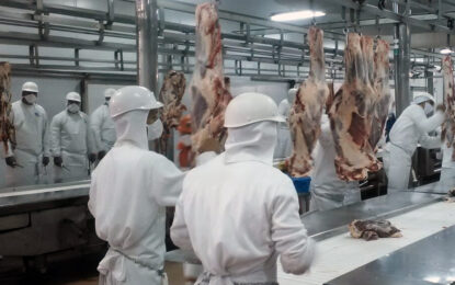 La carne bovina, con números en rojo: cae la faena y el consumo se desplomó a niveles históricos