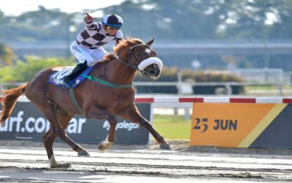 De los haras a los hipódromos: los impresionantes números de los caballos pura sangre en Argentina