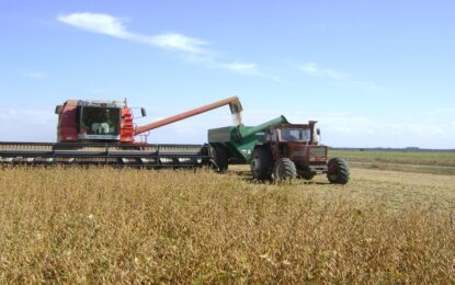 Soja con humedad: además de calibrar la maquinaria, aconsejan no demorar la cosecha