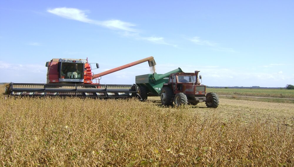 Soja con humedad: además de calibrar la maquinaria, aconsejan no demorar la cosecha