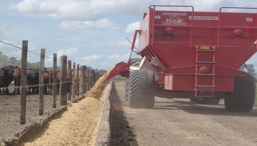La tasa de interés baja y la rentabilidad sube: los feedlots vuelven a ganar dinero