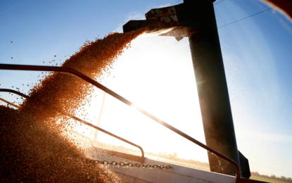 Desde China llegó una noticia que genera ilusión en la cadena agroindustrial