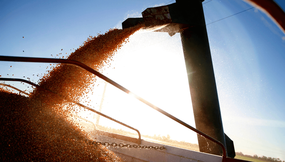 Desde China llegó una noticia que genera ilusión en la cadena agroindustrial