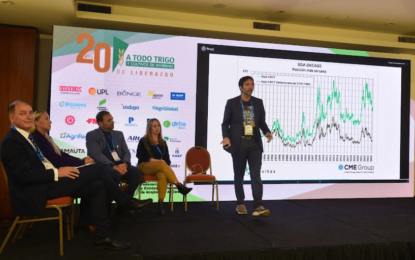 Mercado del trigo 2024/25: ¿esperar, vender o hacer alguna cobertura?