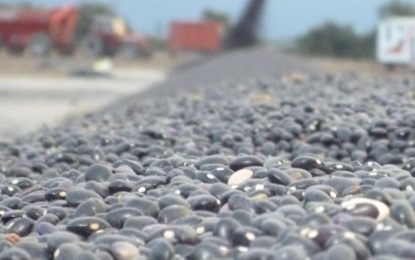 Exportaciones sin “barreras”: eliminan las DJVE para specialities, maní, arroz y derivados del maíz y el trigo