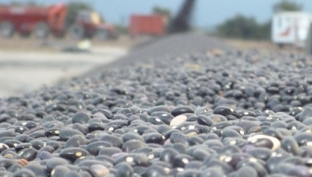 Exportaciones sin “barreras”: eliminan las DJVE para specialities, maní, arroz y derivados del maíz y el trigo