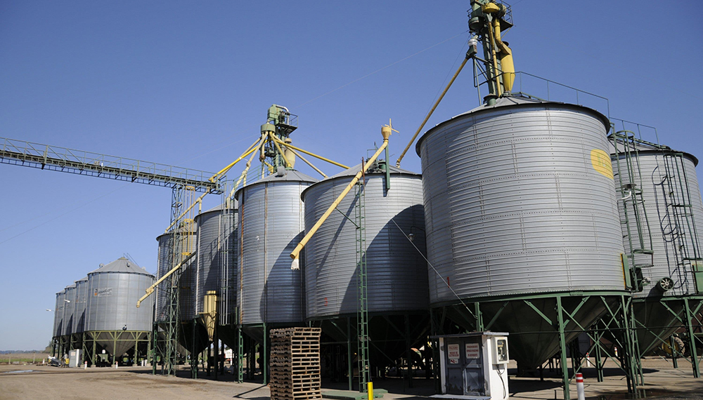 Un nuevo proyecto de ley impulsa inversiones agroindustriales, en base a beneficios fiscales