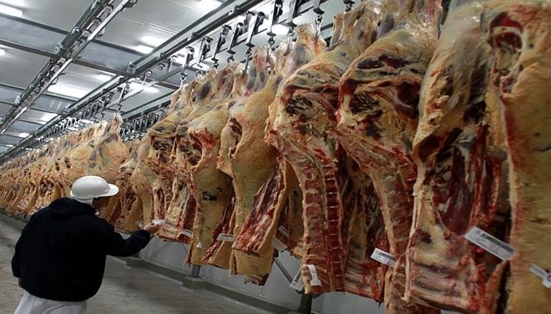 Hay que pasar el invierno: los frigoríficos exportadores comenzaron a acumular novillos