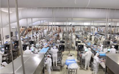 Con China de capa caída, el “resurgimiento” de Rusia trae alivio a los frigoríficos exportadores