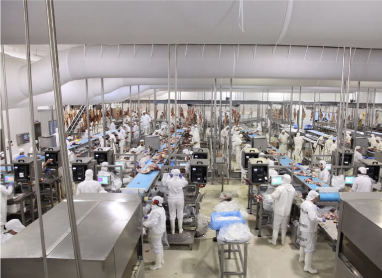 Con China de capa caída, el “resurgimiento” de Rusia trae alivio a los frigoríficos exportadores