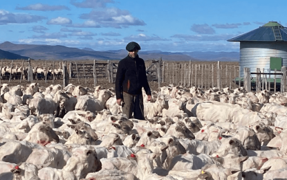 Ignacio, el joven veterinario que busca hacer escalar la ganadería al pie de la cordillera patagónica