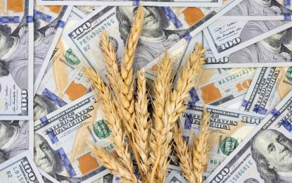 El ingreso de dólares del agro fue el mejor del año en julio