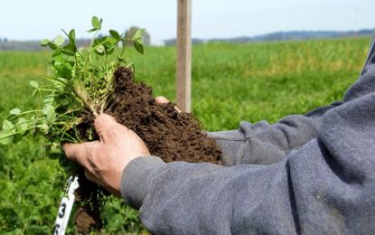Lanzan la primera diplomatura en agricultura regenerativa
