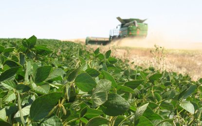 Se modera la confianza de los productores agropecuarios