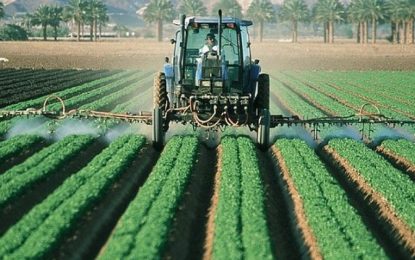 Un horizonte productivo y regenerativo en la producción agropecuaria