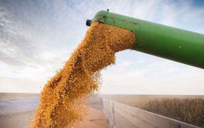 El agro impulsa las exportaciones sustentables a España