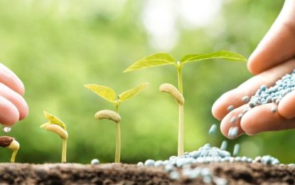 Nueva línea de créditos para la compra de insumos agrícolas de mipymes santafesinas