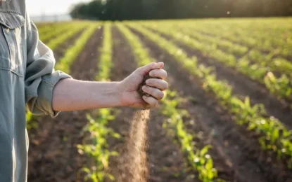 Logran completar con IA el atlas de rendimiento de todas las áreas agrícolas del mundo