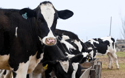 Tambo en Sunchales hizo historia: por primera vez en Argentina se emitió un warrant ganadero