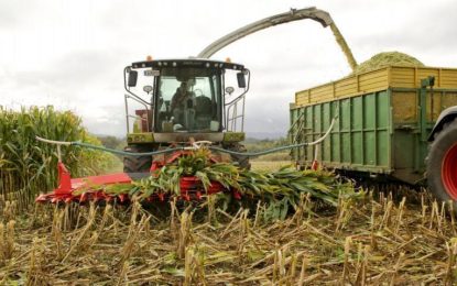 El clima reguló el ritmo de las actividades agrícolas en el centro-norte de Santa Fe