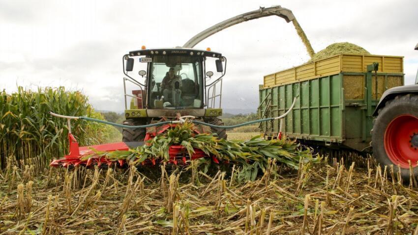 El clima reguló el ritmo de las actividades agrícolas en el centro-norte de Santa Fe