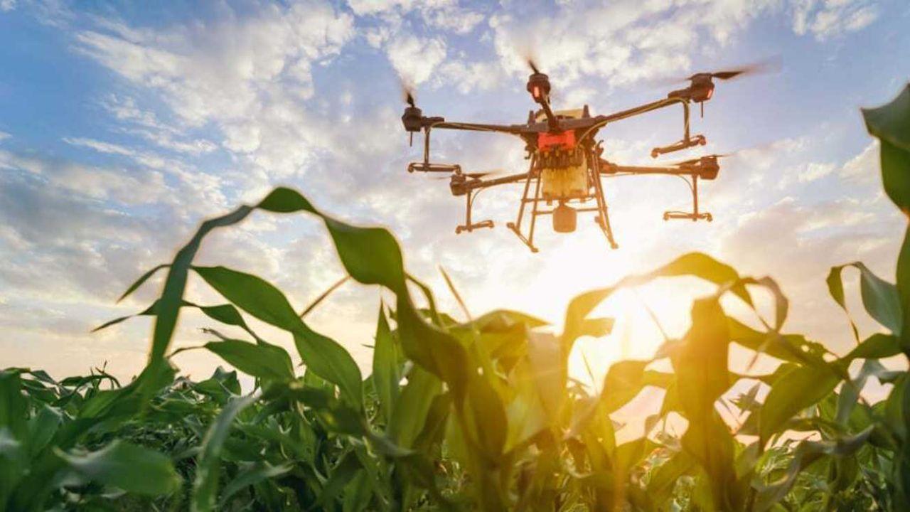 Convocatoria abierta para agtech, fintech, biotech y climatech