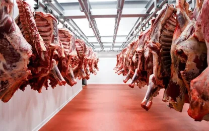 Exportadores de carne argentina hacen foco en una de las grandes expo de China