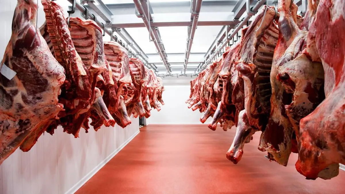 Exportadores de carne argentina hacen foco en una de las grandes expo de China