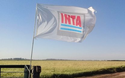 Inta: entre el silencio y muchos inocentes