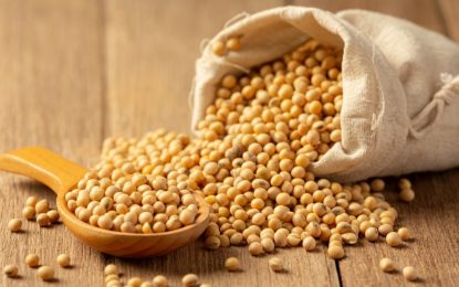 La soja de Uruguay se suma a la de Paraguay y salvan a la industria aceitera de una “severa crisis”
