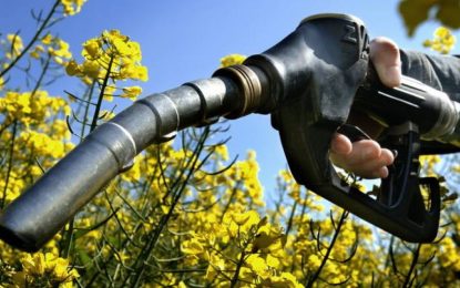 Santa Fe delinea estrategias para avanzar en una nueva ley nacional de biocombustibles