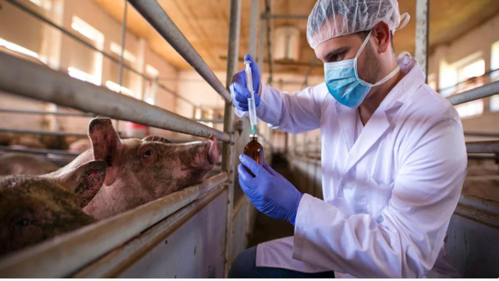 La industria veterinaria cierra un año con caída de ventas, pero confía en un 2025 de recuperación