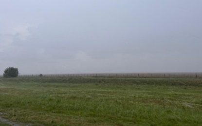 Febrero terminó con lluvias por encima de la media en el 95% de región nucleo