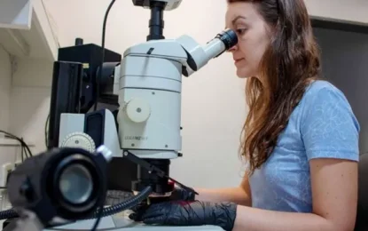 Investigadores de Rosario descifran nuevos secretos sobre la regeneración de las plantas