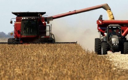 El agro argentino en la encrucijada: volatilidad cambiaria, cosecha en marcha y tensiones globales