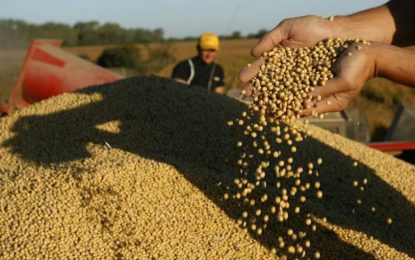 Demoras en la entrega de soja en Argentina: el ritmo más lento en 11 años