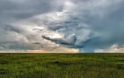 Siguen los alertas por lluvias intensas: cayeron más de 100 milímetros en la zona núcleo