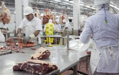 Acuerdo de Libre Comercio con Estados Unidos: se podrán exportar 100 mil toneladas de carne libre de aranceles