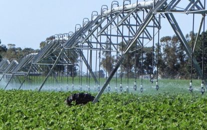 Plan Nacional de Riego: se incorporaron más de 40.000 hectáras con pivots o goteo