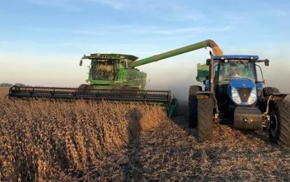 La cosecha 2025/26 podría ser récord: 142,6 millones de toneladas