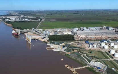 Estados Unidos y los aranceles: las oportunidades del agro argentino ante el nuevo contexto mundial