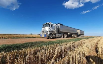 El maíz no aparece en los puertos y las ventas de soja desaparecen
