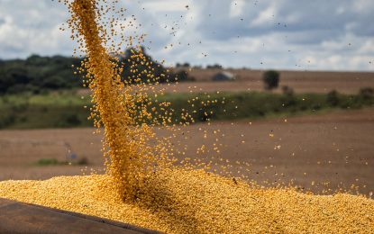 La soja pisa el acelerador en las ventas, mientras el maíz pone el freno de mano