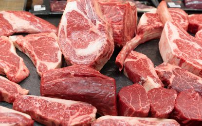 Retenciones cero en carnes: el sector avícola santafesino advirtió que podrían aumentar sus costos