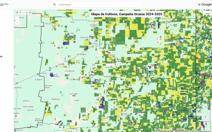 “Mapa de Cultivos”: una nueva herramienta digital para conocer al detalle la producción agrícola argentina