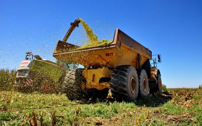 Presupuesto 2026: ¿cuánto dinero prevé gastar el Gobierno en planes y actividades para el agro?