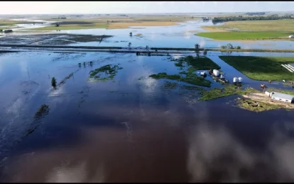 Inundaciones en Buenos Aires: prorrogarán la emergencia agropecuaria en cuatro partidos